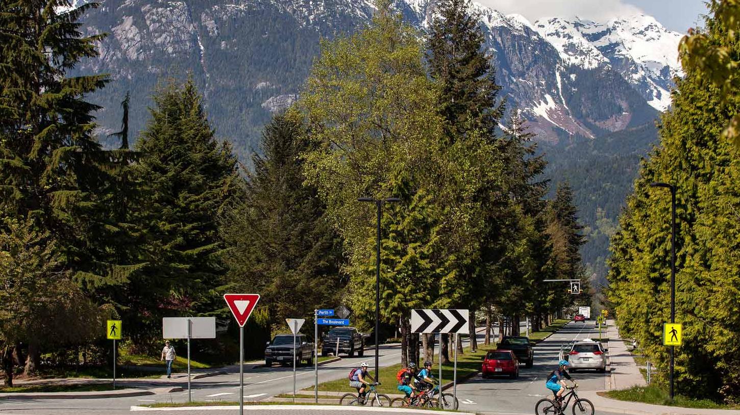 Residential street lined with trees. Cyclists on road