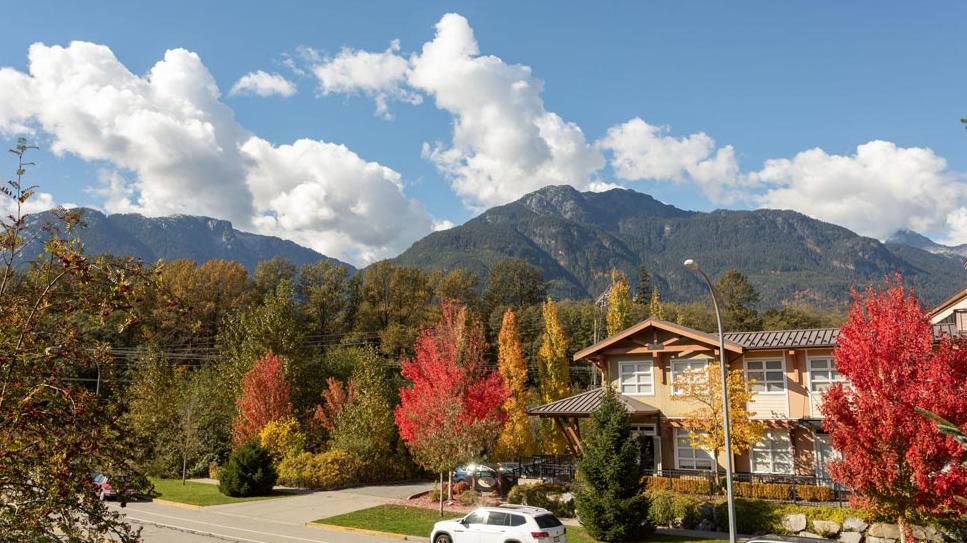 Street view of Tantalus Neighbourhood